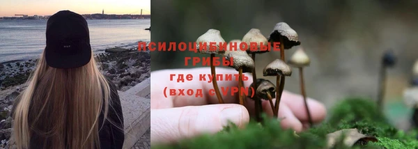 соль ск Нефтегорск