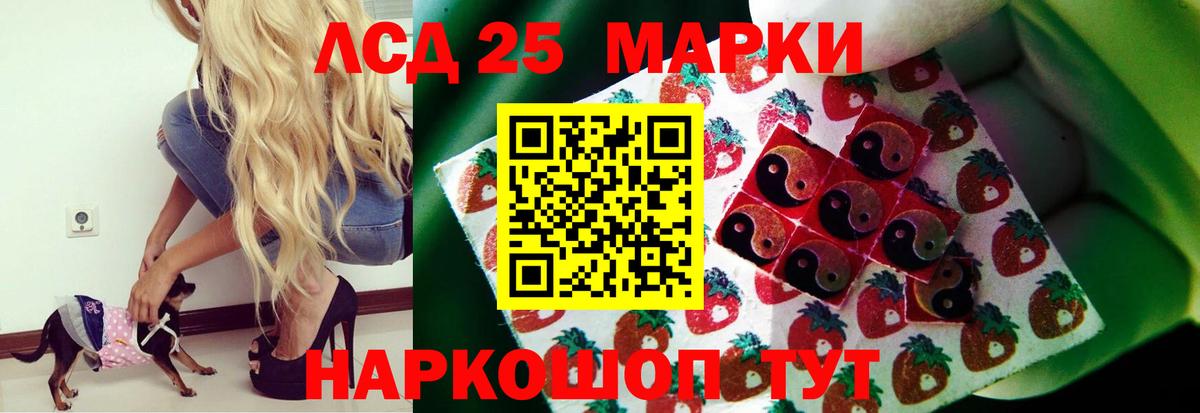 kraken рабочий сайт  Аша  ЛСД экстази кислота 