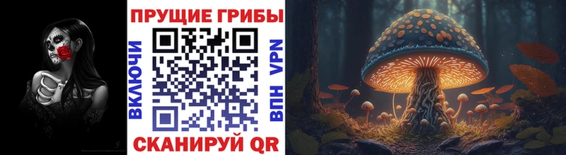 мега вход  дарк нет формула  Галлюциногенные грибы мухоморы  Аша 