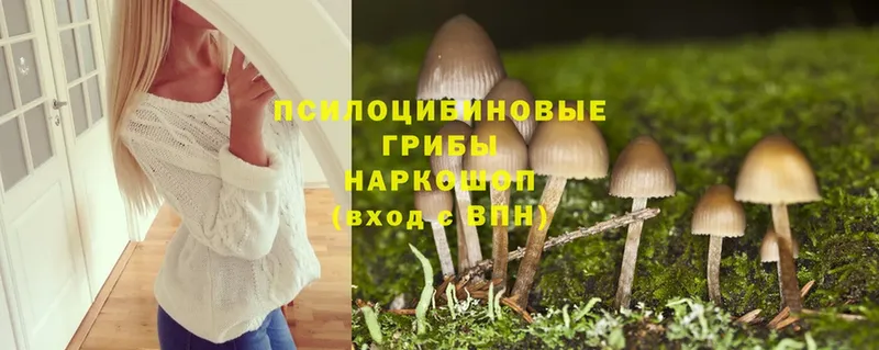 MEGA ссылка  Аша  Галлюциногенные грибы Psilocybe 