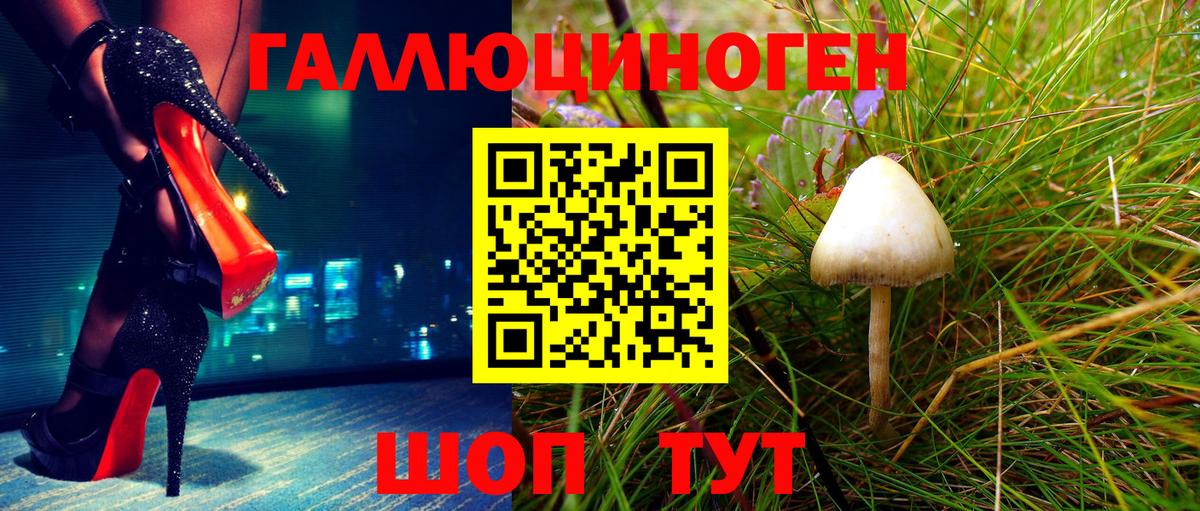 Галлюциногенные грибы мухоморы Аша