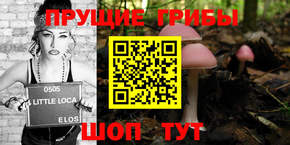 Псилоцибиновые грибы Psilocybe  Вход с VPN  Аша  Псилоцибиновые грибы мухоморы 