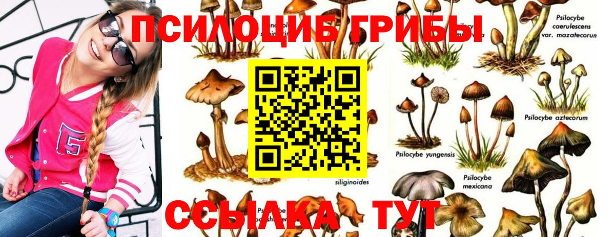 Псилоцибиновые грибы мухоморы Аша